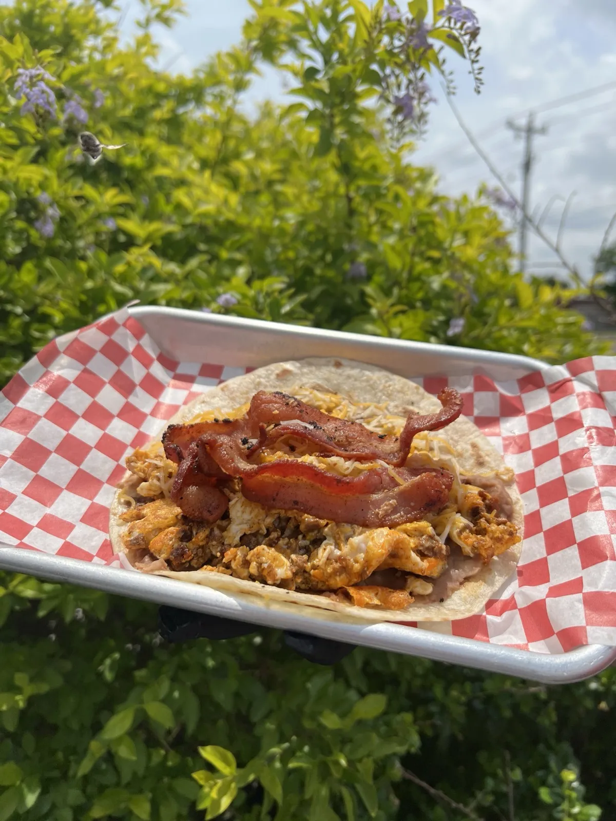 The Hangover breakfast taco with chorizo, egg, beans, cheese and bacon from Loredo's Tortilleria